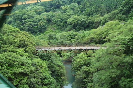 橋梁から下流の渓谷