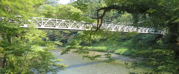 多摩川に架かる吊り橋の楓橋