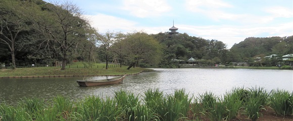 三渓園の大池と五重塔