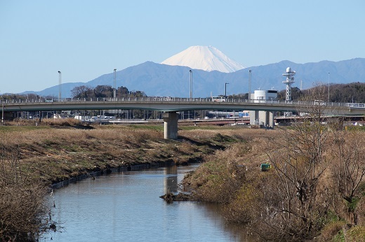 鶴見川土手からの富士山２