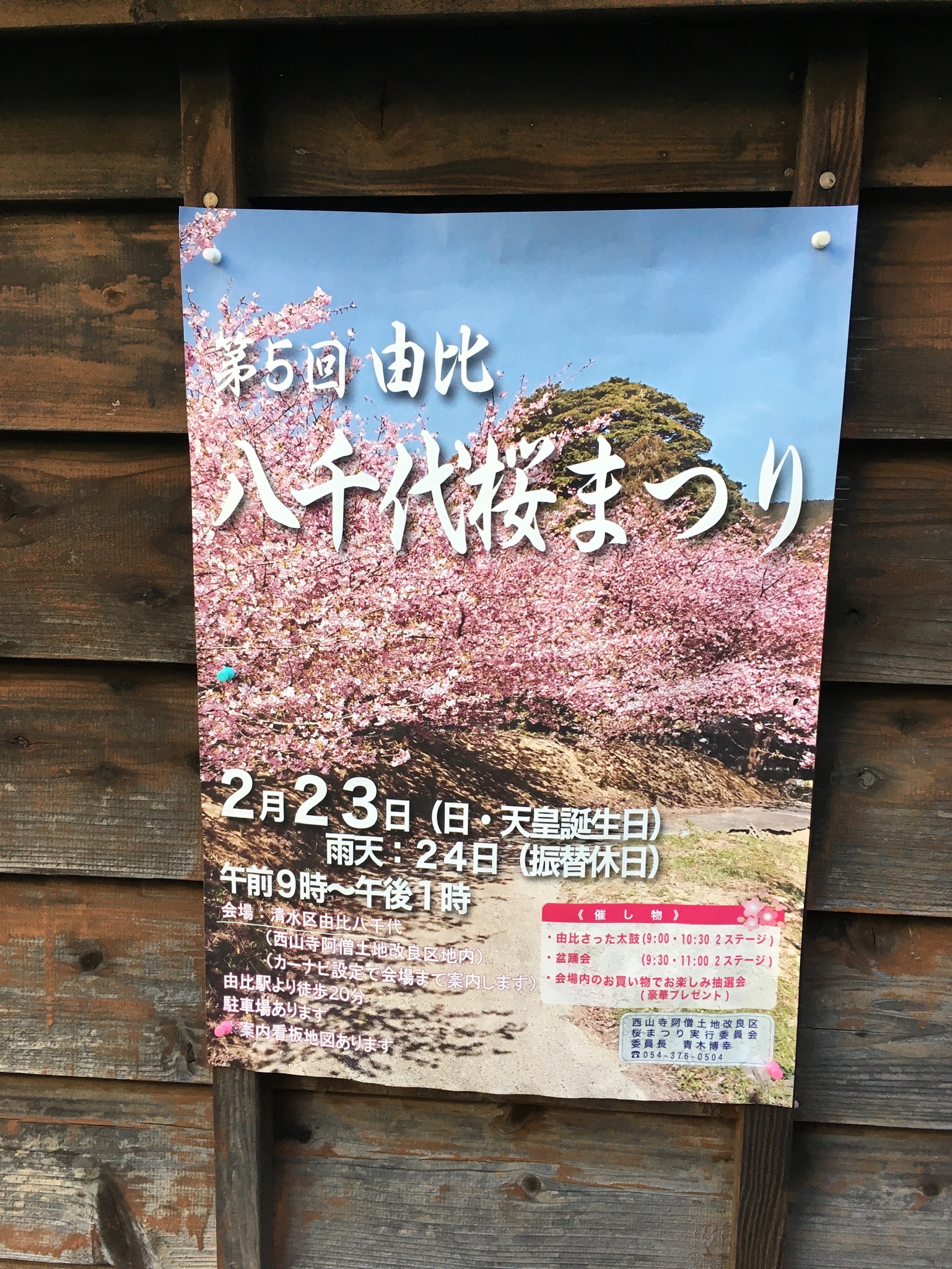 由比八千代桜祭りポスター