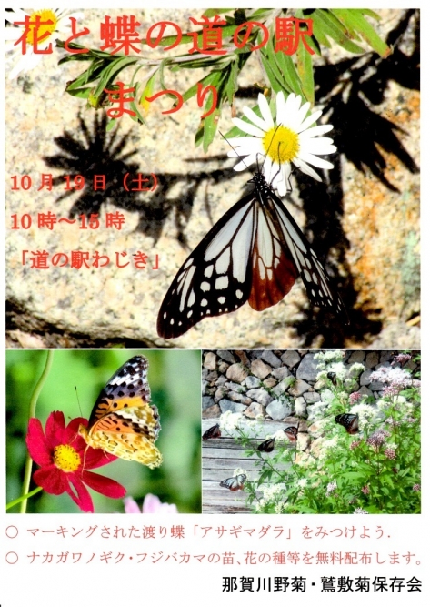 花と蝶の道の駅まつり② (2)