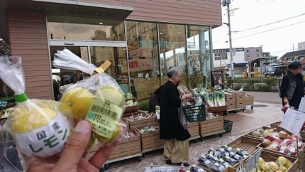 20191107地産マルシェで柑橘類購入.JPG