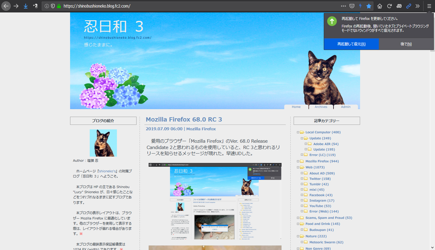 Mozilla Firefox 69.0 Beta 3