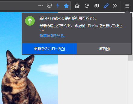 Mozilla Firefox 69.0 Beta 13