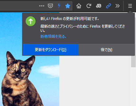 Mozilla Firefox 69.0 Beta 15
