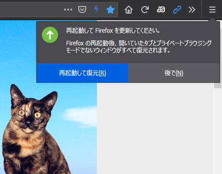 Mozilla Firefox 69.0 Beta 16