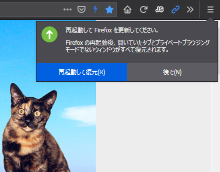 Mozilla Firefox 72.0 Beta 6
