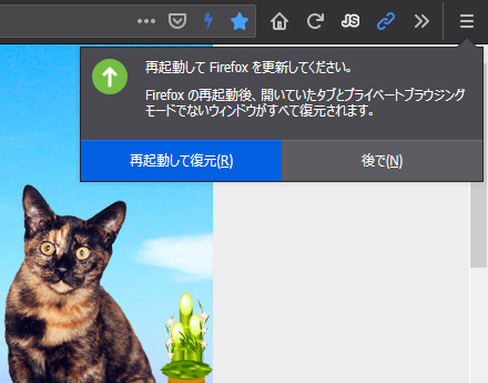 Mozilla Firefox 72.0 Beta 11