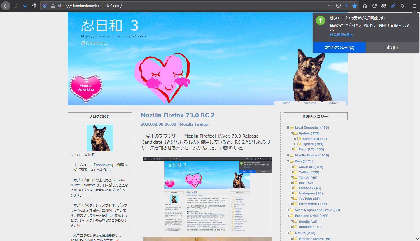 Mozilla Firefox 73.0 RC 3