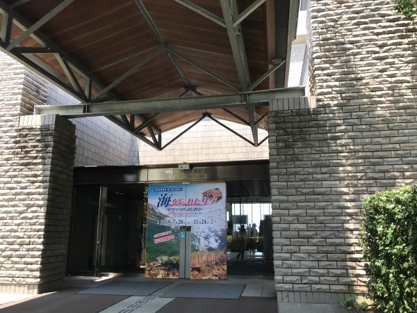 琵琶湖博物館　入口