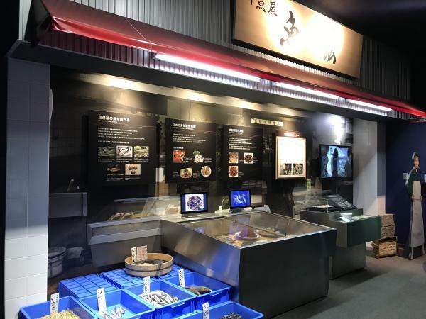 琵琶湖博物館　水族展示室　魚屋？