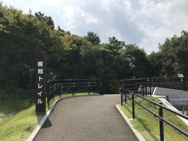 琵琶湖博物館　樹冠トレイル