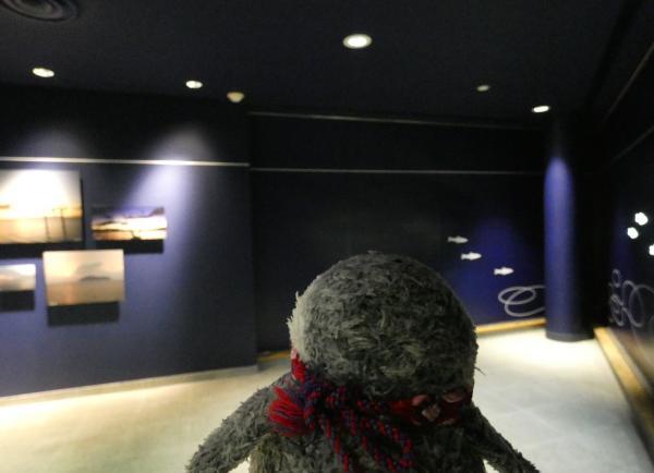 琵琶湖博物館　水族展示室